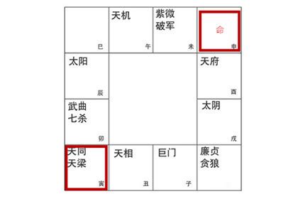 天同|天同入命宫整体运势